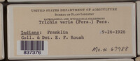 Image Associated With the Occurence